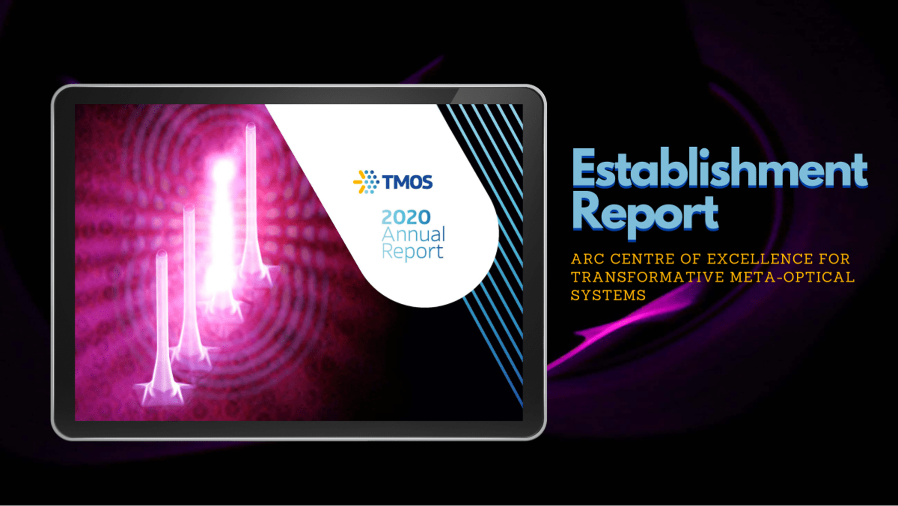 TMOS Establishment Report – where we’ve come from and where we’re going